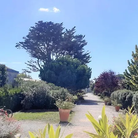Le Palais *